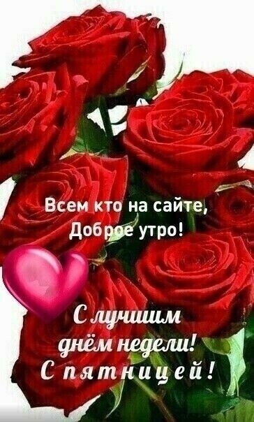 Всем кто на сайте добтутро унёмнщели Спятунцей кг