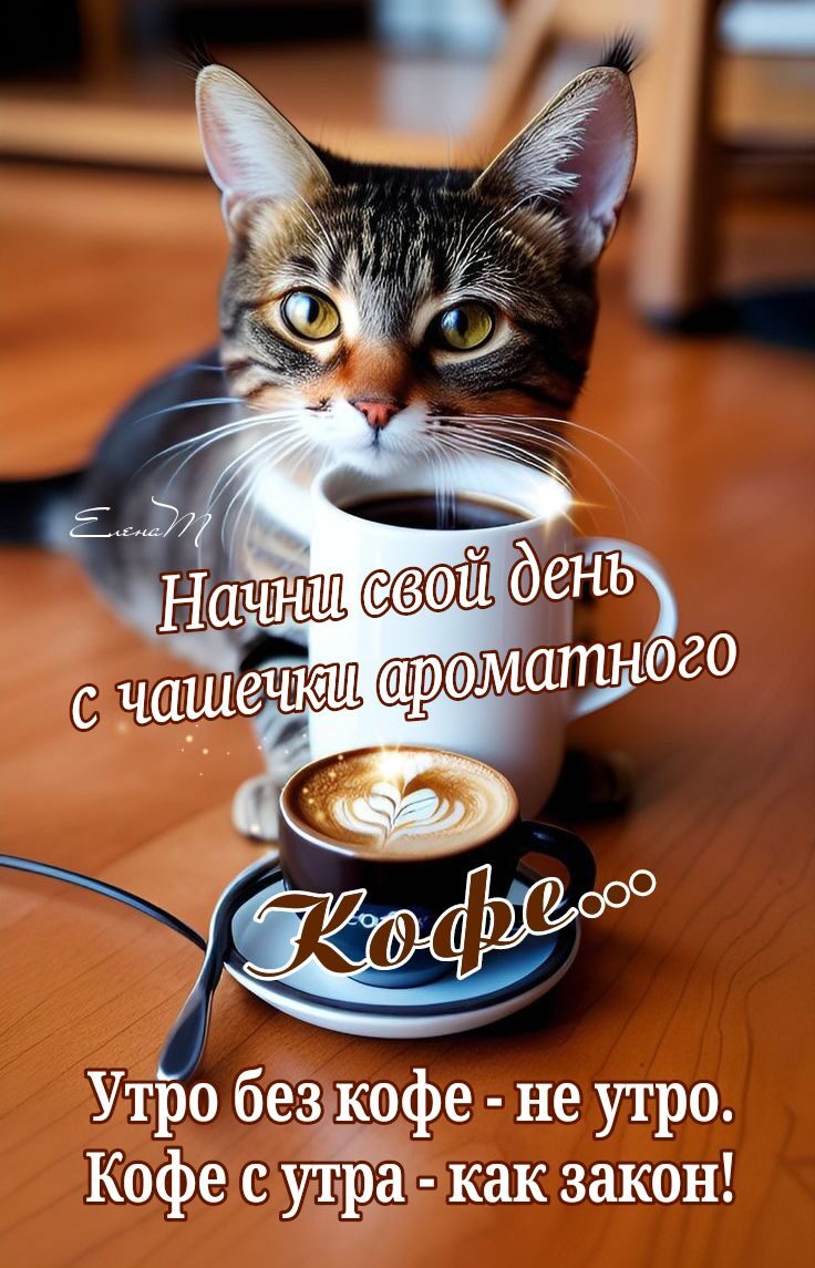 Утро без кофе не утро Кофе с утра как закон