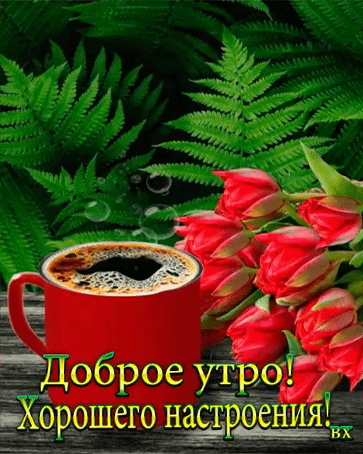 ОШЁЭГО НЗС
