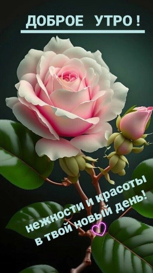 дОБРОЕ УТРО Ь 936639 6 о и