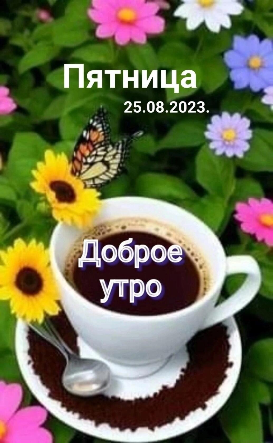 Пятница 25 08 2023 11 _