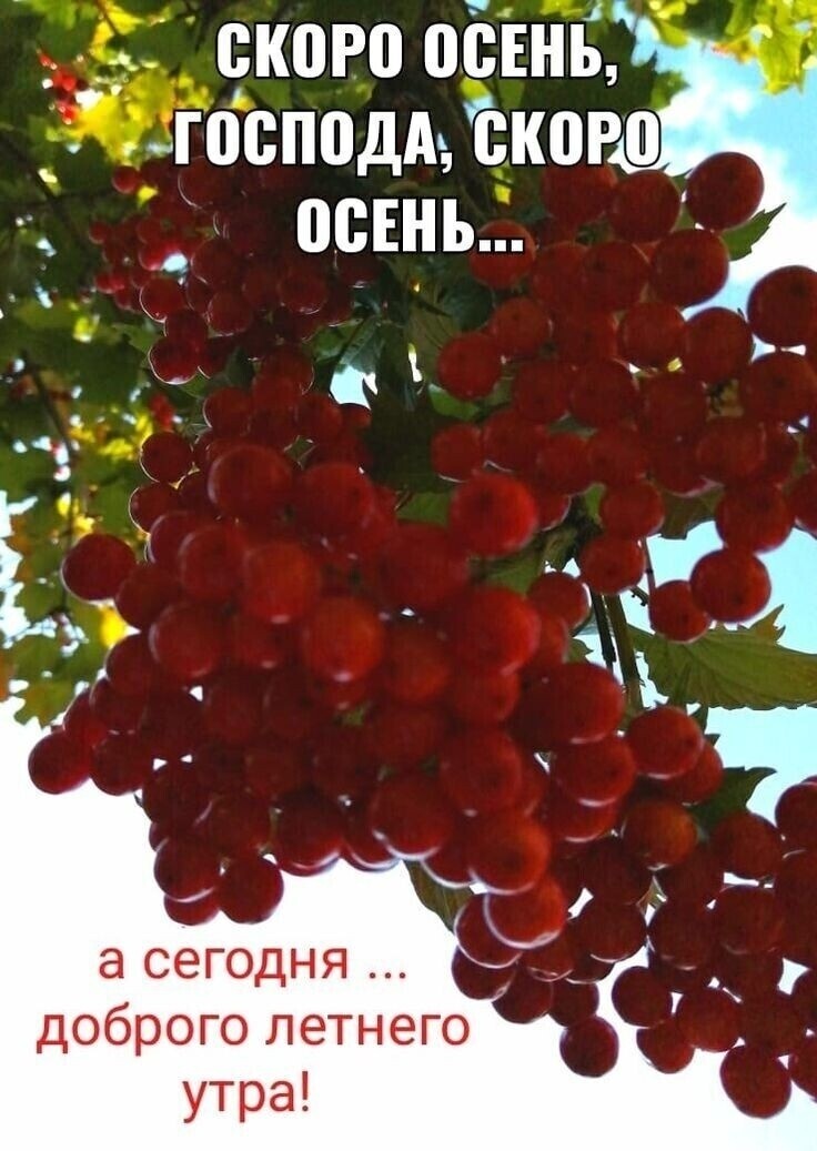 ___ коро обвиБ госппдА Ыого __ ВСЕНЪ ш доброго летнего утра
