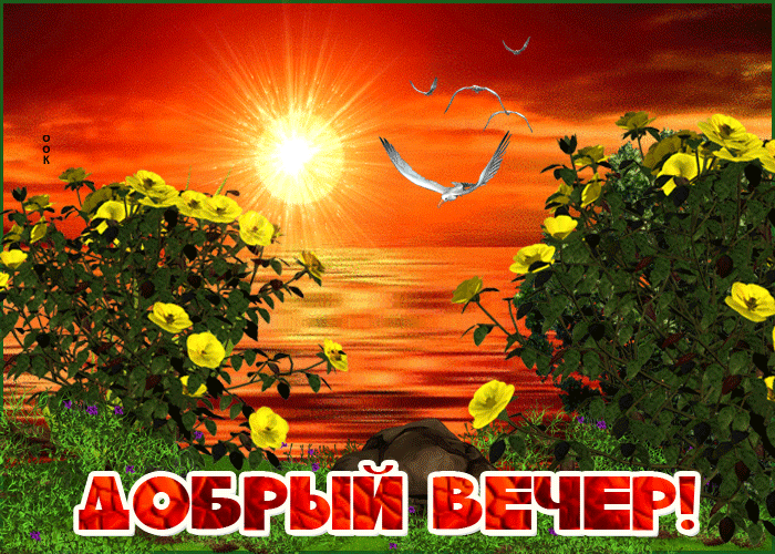 9 дни