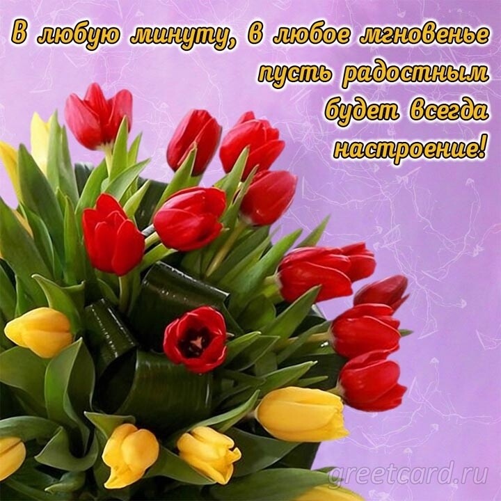 наетраекие