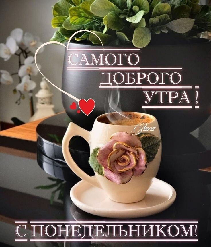 д_оёникомг