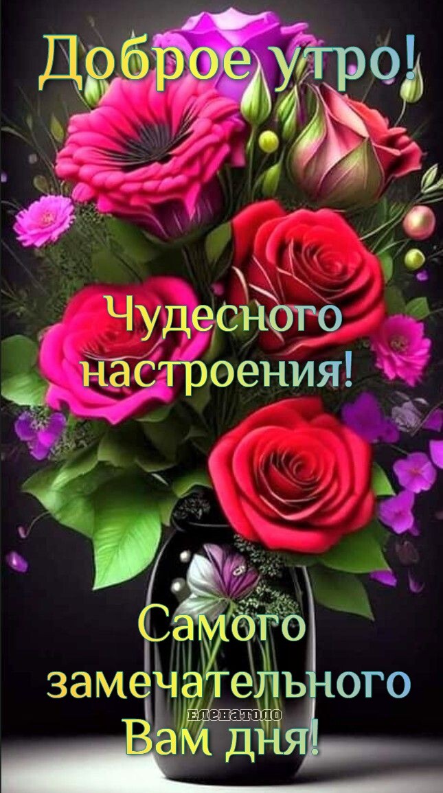 93 3 _ Чудеса Юго настроения