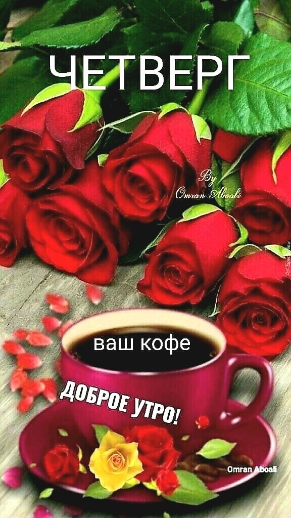 ТВЕРГ