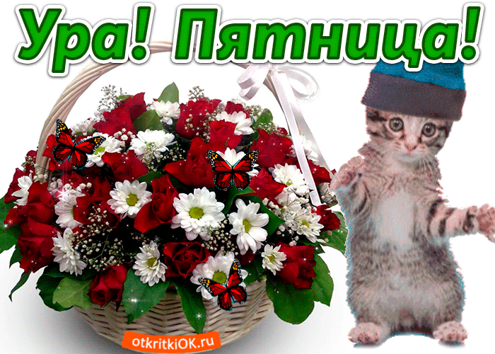 тница Ч Ура Пя