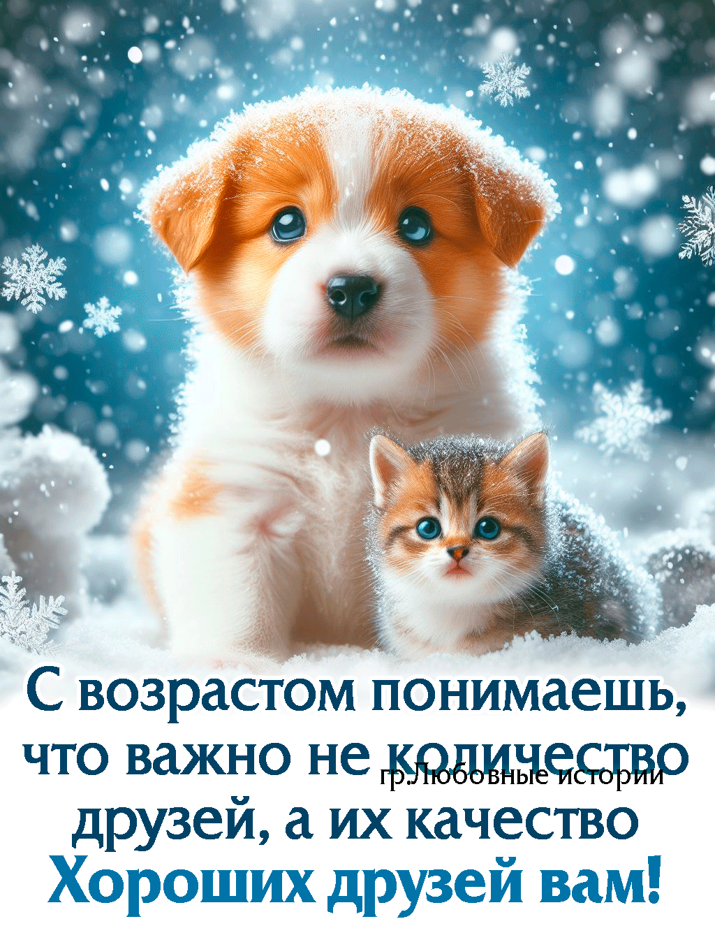 С возрастом понимаешь что важно не р друзеи а их качество Хороших друзей вам
