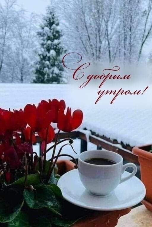і я 711 е 2007 РГ Ф 7Ф