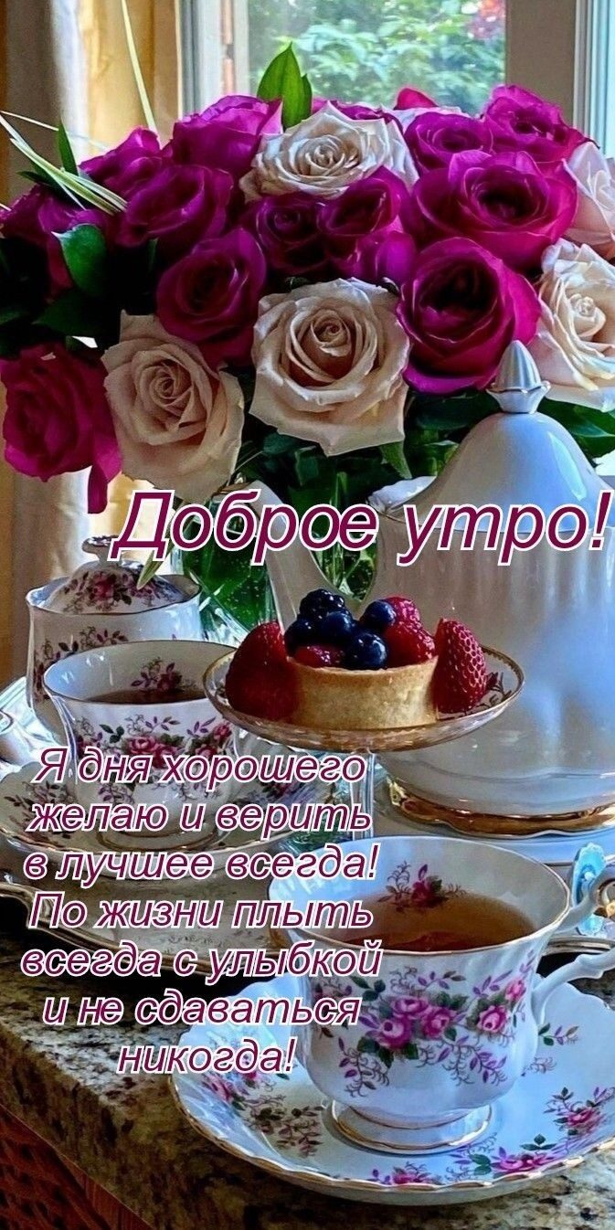 шт сдаваться в ЧНШКого П