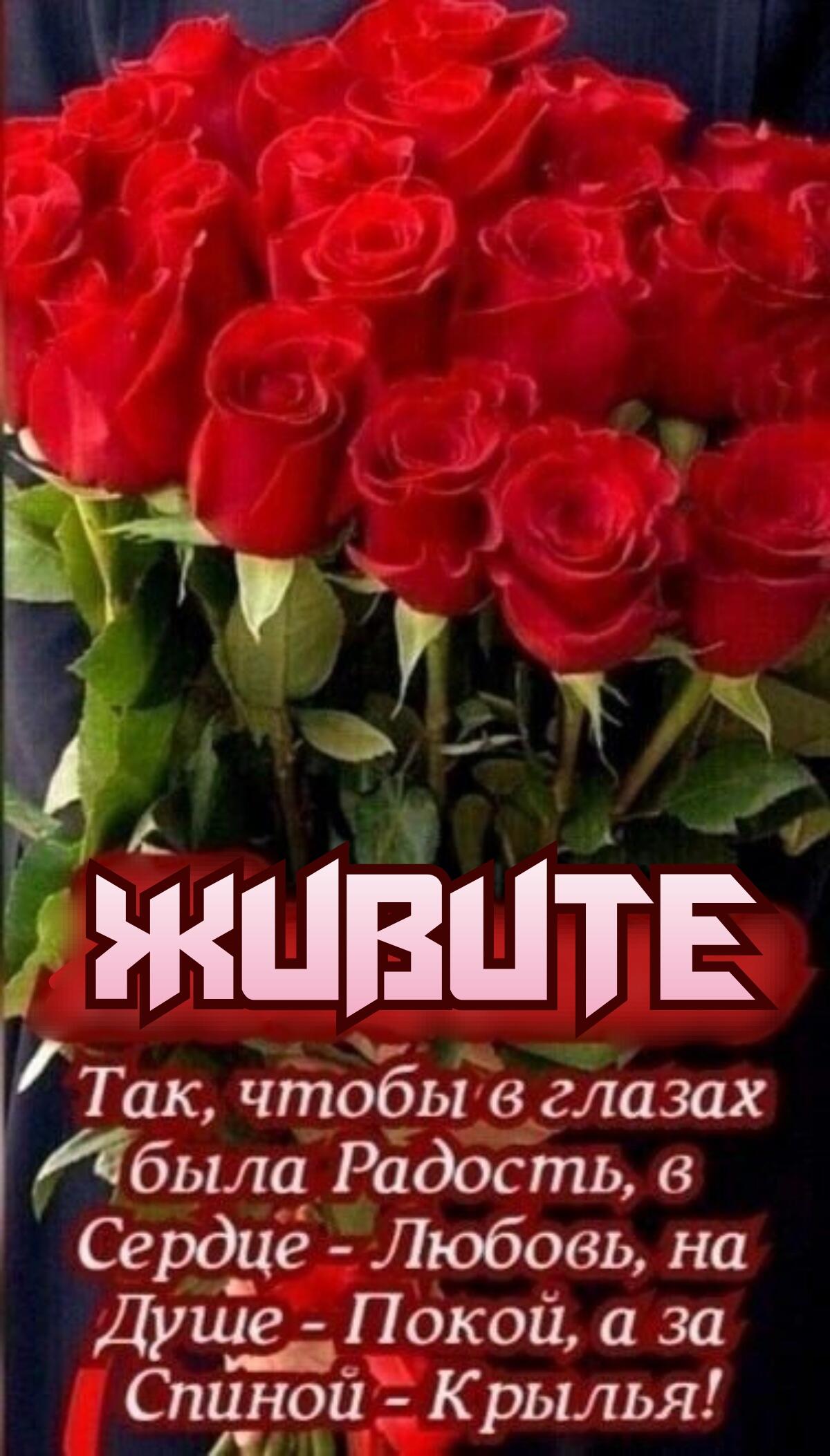 91 Так чтобы в глазах была Радость Серд_це Любовь на Душе Покой а за Спиной Крылья