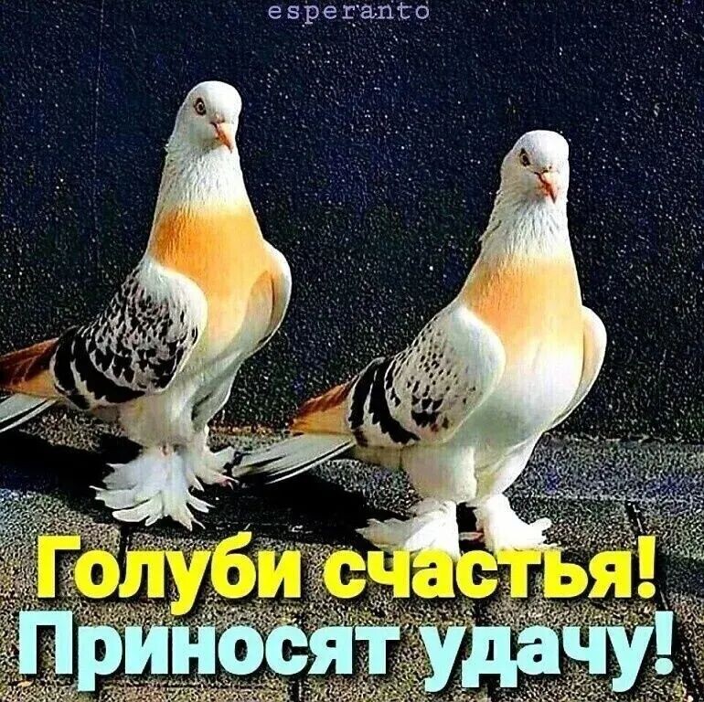 еврехапсв