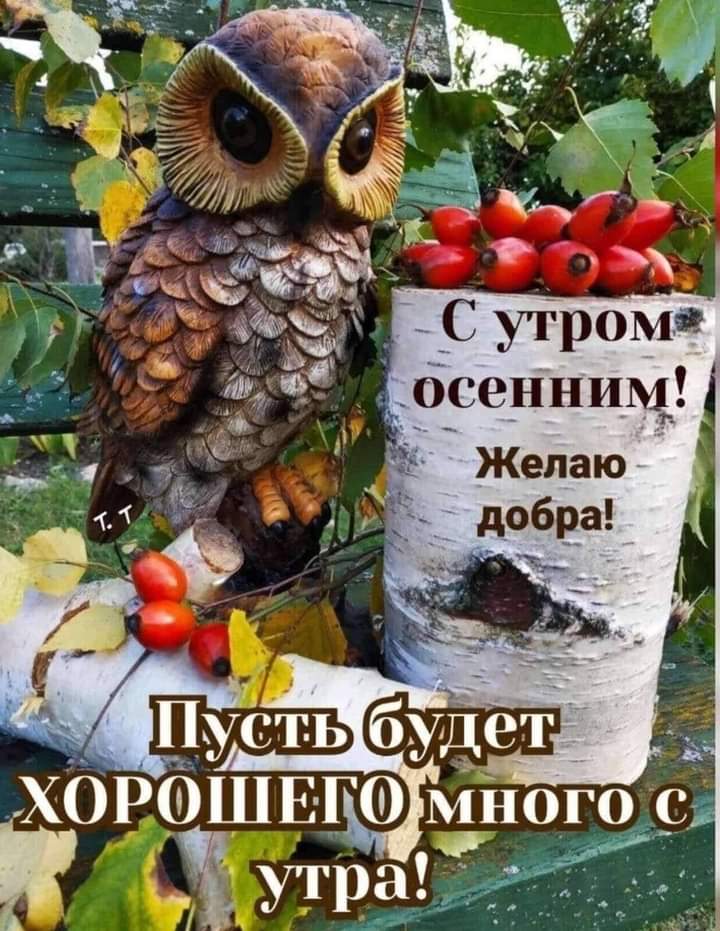 С утром г осенним Желаю