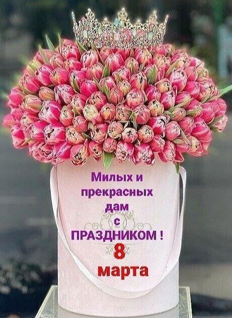 Милых и прекрасных дам с ПРАЗДНИКОМ ! 8 марта