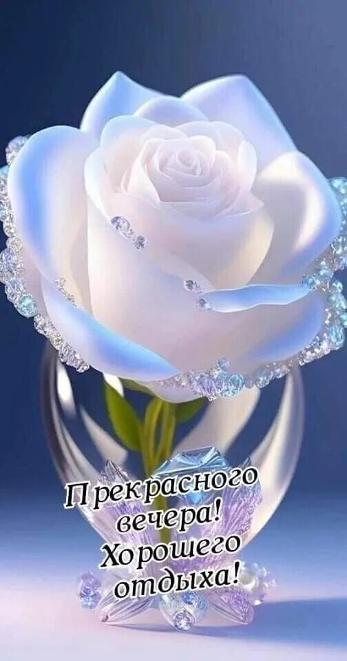 Прекрасного вечера! Хорошего отдыха!