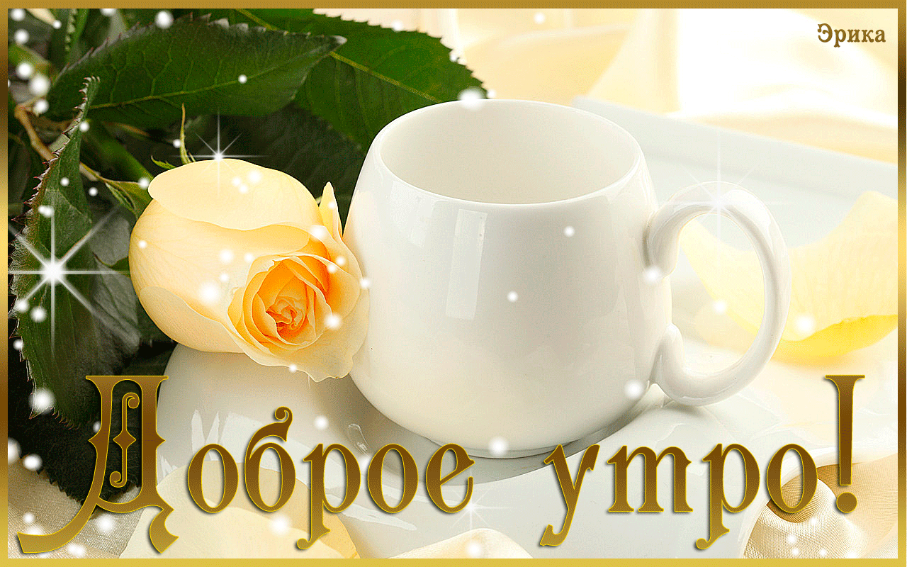 Доброе утро!