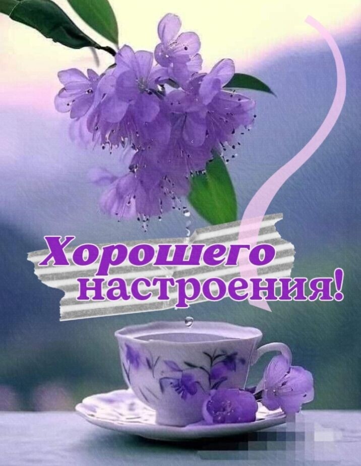 Хорошего настроения!