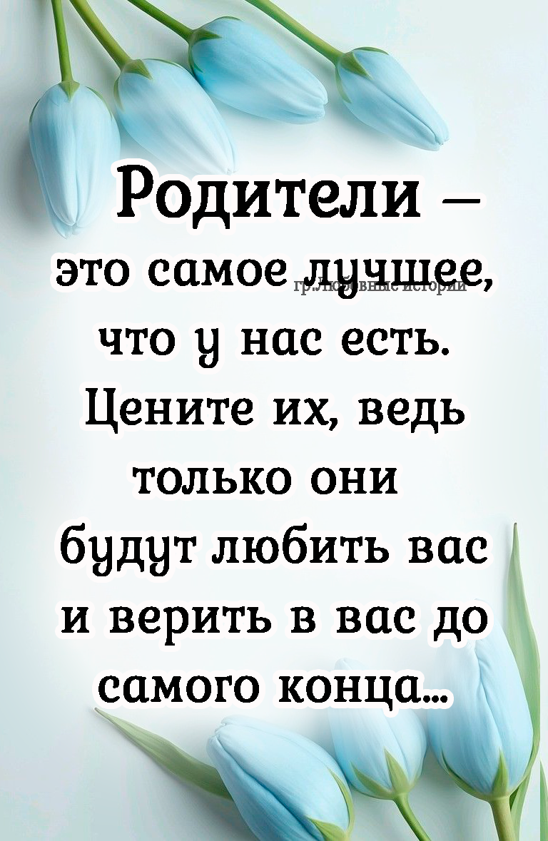 Родители — это самое лучшее, что у нас есть. Цените их, ведь только они будут любить вас и верить в вас до самого конца...