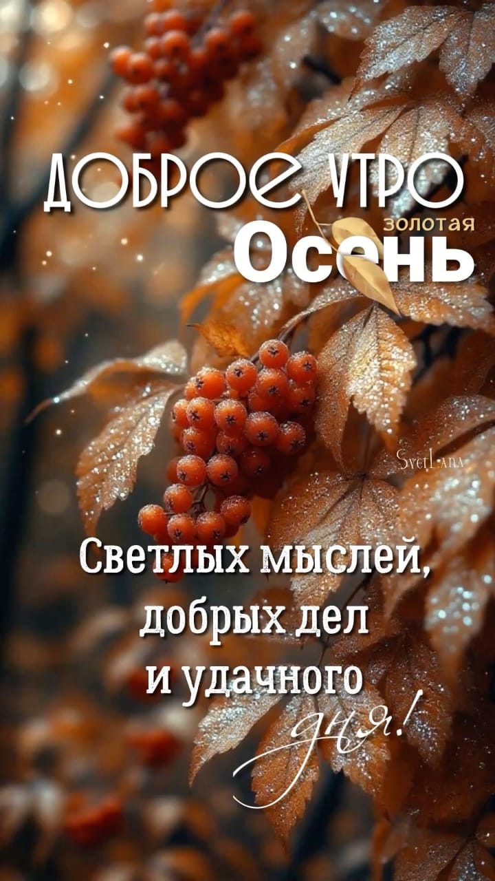 ДОБРОЕ УТРО золотая Осень
Светлых мыслей, добрых дел и удачного дня!