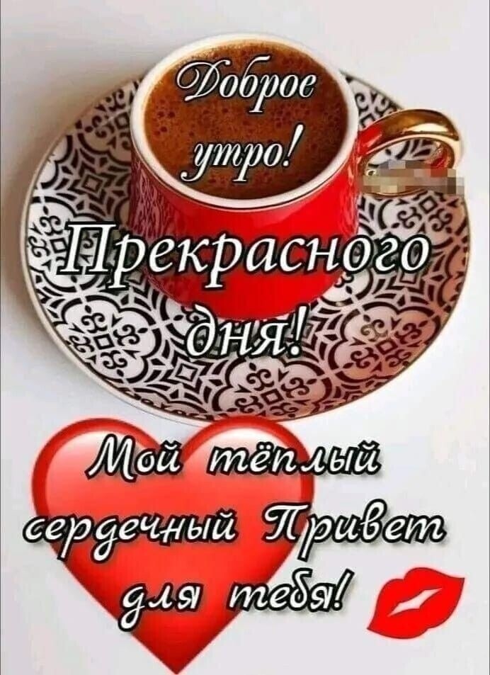 Доброе утро! Прекрасного дня! Мой тёплый сердечный привет для тебя!