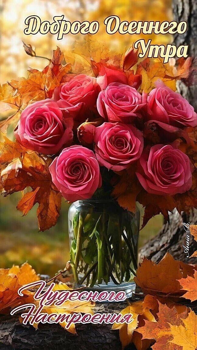 Доброго Осеннего Утра
Чудесного Настроения