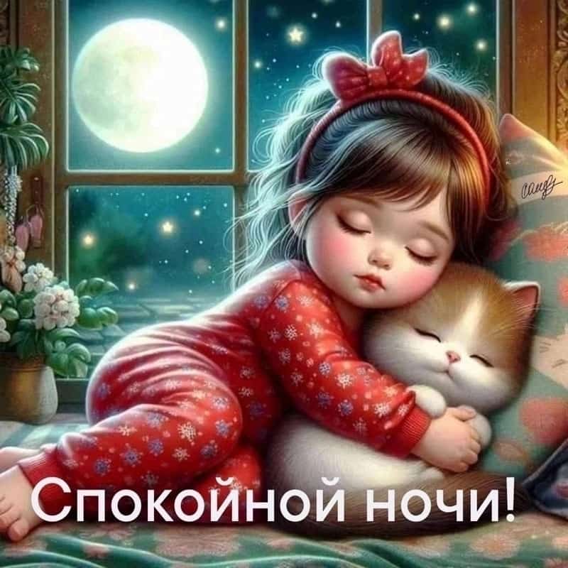 Спокойной ночи!