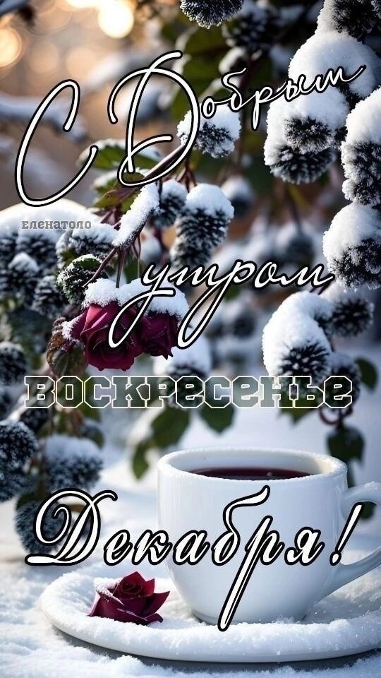 С Добрым утром Воскресенье Декабря!
