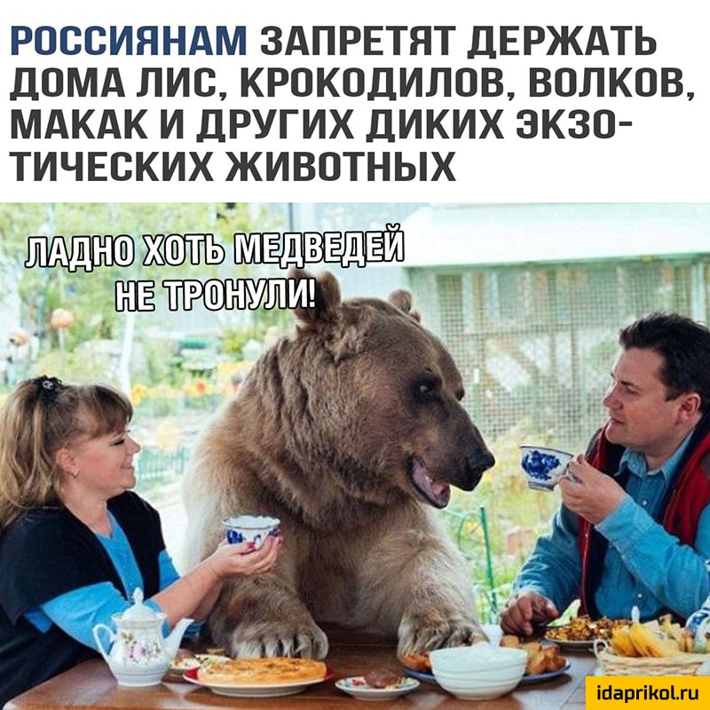 РОВСИЯНАМ ЗАПРЕТЯТ ДЕРЖАТЬ ЦОМА ЛИС КРОКОДИЛОВ ВОЛКОВ МАКАК И ДРУГИХ ДИКИХ ЭКЗО ТИЧЕСКИХ ЖИВОТНЫХ МЕДВЕДЕЙ
