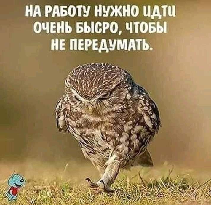 НА РАБОТУ НУЖНО НАШ ОЧЕНЬ БЫОРО ЧТОБЫ НЕ ПЕРЕДЧМАТЪ г _ і