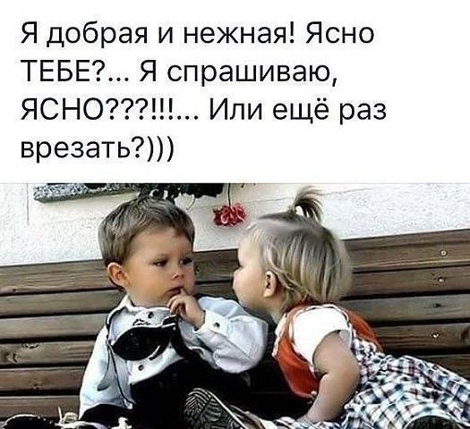 Я добрая и нежная Ясно ТЕБЕ Я спрашиваю ЯСНО Или ещё раз врезать