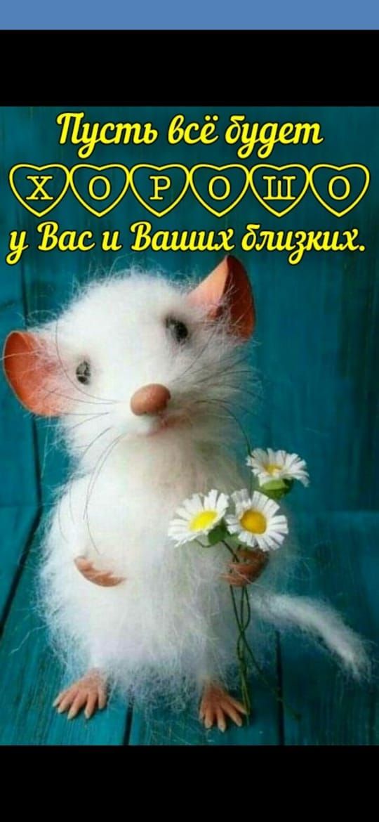 Пустьбсёбуует ФЭФЁФ Вас и Ваших блиуаш