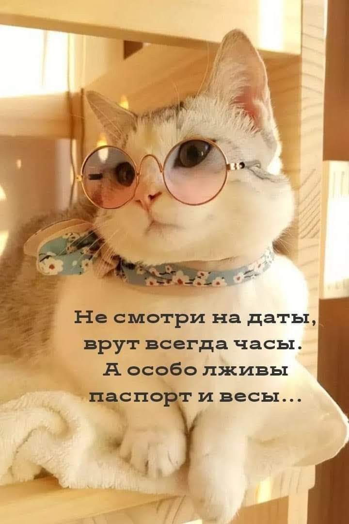 Не смотри на даты врут всегда часы А особо лживы падспо _ и весы 1 Г