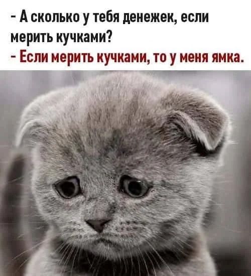 А сколько у тебя денежек если мерить кучками Если мерить кучками то у меня ямка __