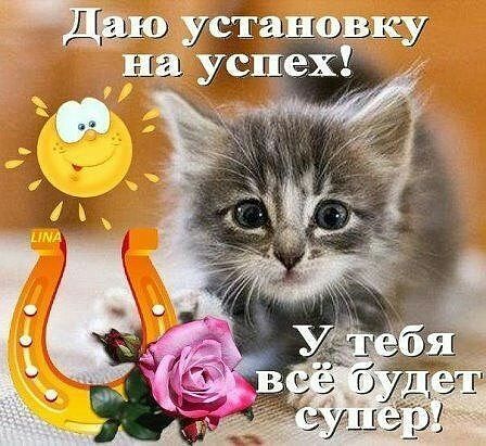 дву