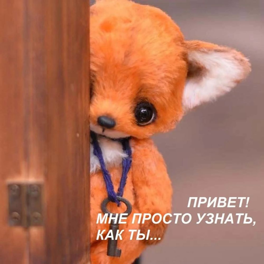ПРИВЕТ то УЗНАТЬ