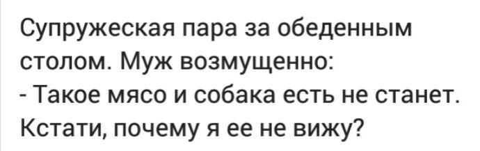 Супружеская пара за обеденным столом Муж возмущенно Такое мясо и собака есть не станет Кстати почему я ее не вижу