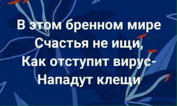 В бренном мире ГСчастья не ищ к бтступит вир 7 Чападут кпе