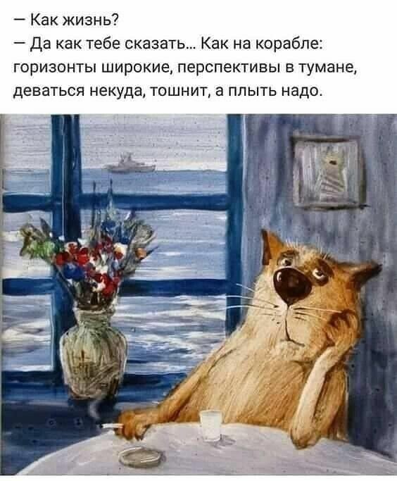 Как жизнь да как тебе сказать Как на корабле горизонты широкие перспективы в тумане деваться некуда тошнит а плыть надо