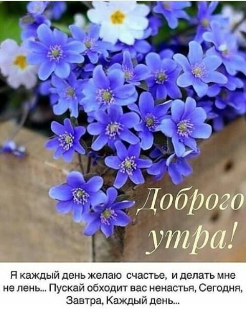 Я каждый день жепаю счастье и делать мне не лень Пускай обходит вас ненастья Сегодня Завтра Каждый день