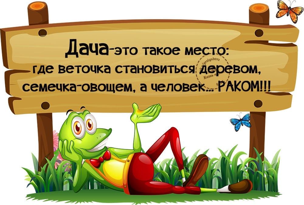 о дача это такое место где веточка становиться деревом Р семечкаовощем а человек РАКОМ