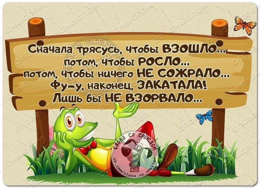СнаЧала трясусь чтобы взошло патом Чтобы РОСЛО
