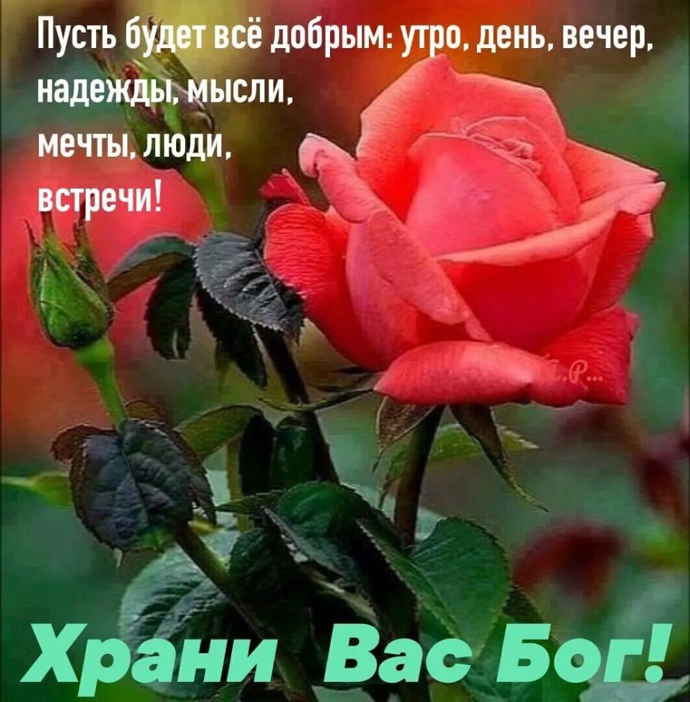 Пусть ё добрЫМ ут 0 день вечер надежд ысли а Ё іі Ё Ё а