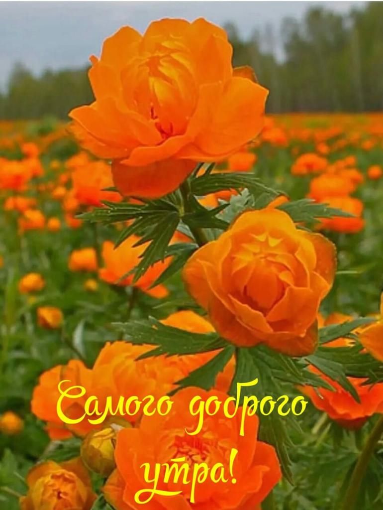 і 4 И А _ _ ЁЁОЗЬЗРЫЁОЮ _ дій