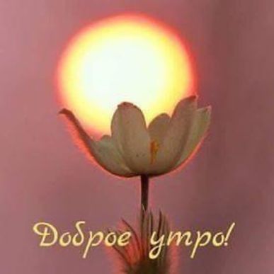 Ёсброе дтро