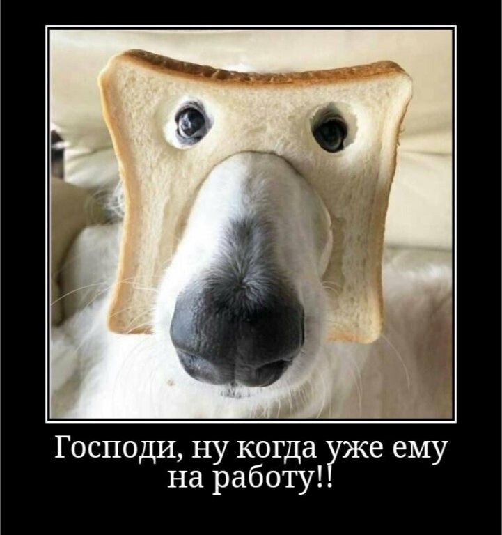 Господи ну когда уже ему на работу
