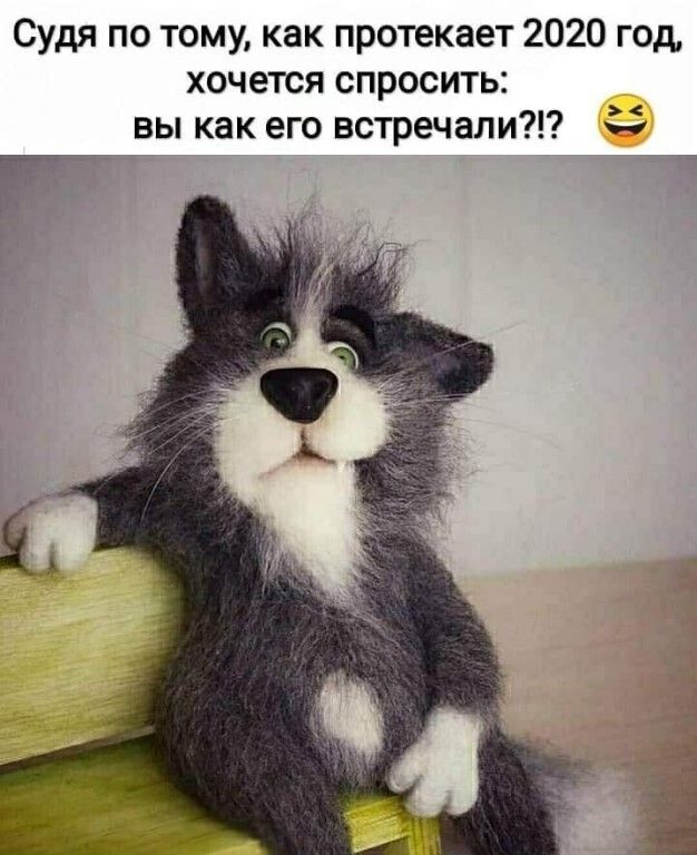 Судя по тому как протекает 2020 год хочется спросить вы как его встречали 33