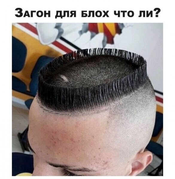 ЗАгон для Блох что ли