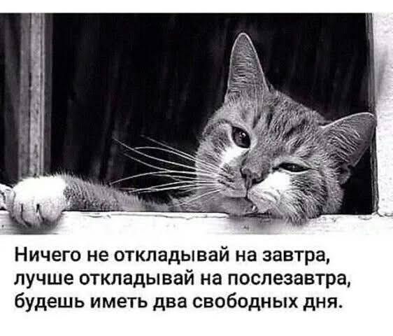 Ничего не откладывай на завтра лучше откладывай на послезавтра будешь иметь два свободных дня
