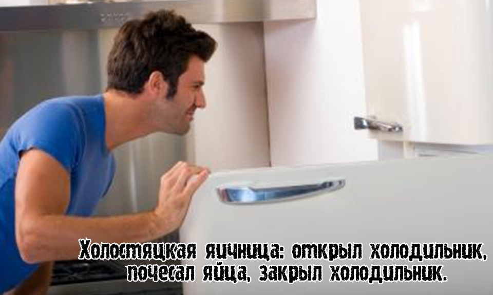 почесал яйца закрыл ХОЛОДИЛЬНИК